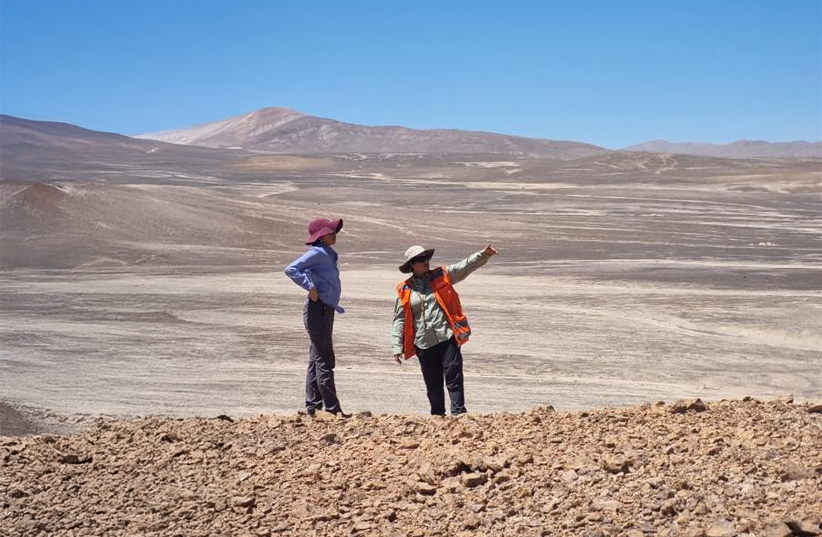 ENAMI prospectos